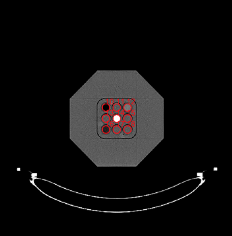 PTW RUBY Insert ED Phantom