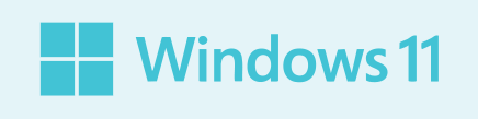 Windows 11